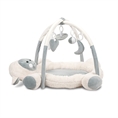 Plush Play Gym 
